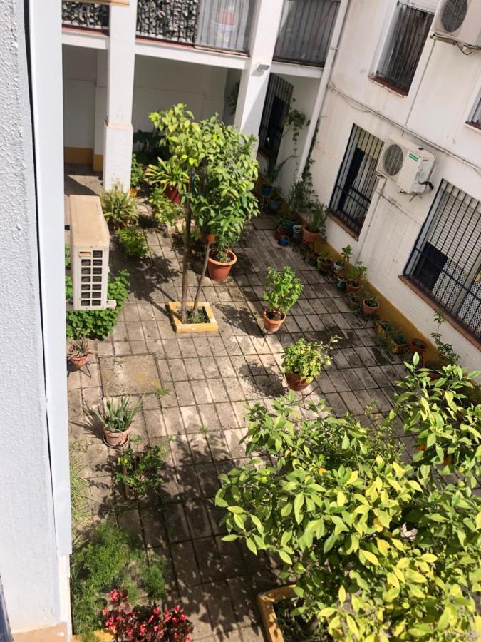Apartamento Plaza Santa Lucia Renovado Febrero 2025 Севилья Экстерьер фото